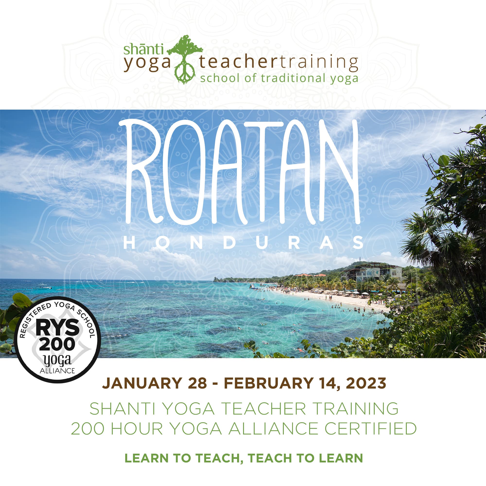 Yoga Teacher Training Roatan